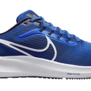 Nike NFL x air zoom Pegasus 39. Indianapolis Colts edition. Mens sz 10.5.